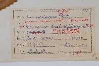 粗齒革葉紫萁藏品圖，第2張