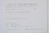 木賊藏品圖，第2張