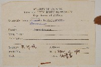 粗齒革葉紫萁藏品圖，第2張