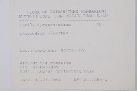 石松藏品圖，第2張