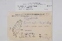 盧山石葦藏品圖，第2張