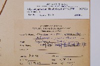 東洋蹄蓋蕨藏品圖，第2張