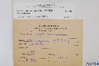 萊氏線蕨藏品圖，第2張