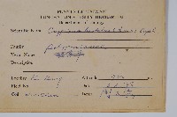 三葉茀蕨藏品圖，第1張