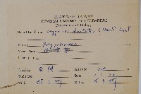 三葉茀蕨藏品圖，第2張