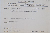 擬烏蘇里瓦葦藏品圖，第2張