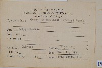 三葉茀蕨藏品圖，第2張