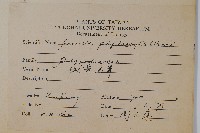 槭葉石葦藏品圖，第2張