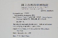 石松藏品圖，第2張