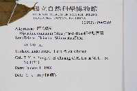 細柄雙蓋蕨藏品圖，第2張