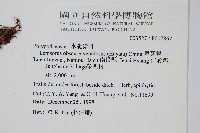 粵瓦葦藏品圖，第2張