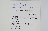 膜葉卷柏藏品圖，第2張