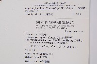 東洋蹄蓋蕨藏品圖，第2張