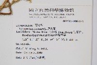 過山龍藏品圖，第2張