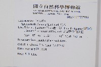 烏蕨藏品圖，第2張