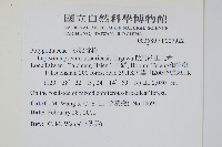 擬烏蘇里瓦葦藏品圖，第2張