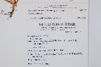 相馬氏石松藏品圖，第2張