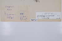 單葉雙蓋蕨藏品圖，第2張