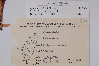 麟瓦葦、川上氏瓦葦藏品圖，第2張