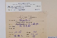 翅軸假金星蕨、短柄卵果蕨藏品圖，第2張