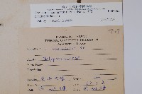 毛蕨藏品圖，第2張