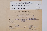 烏蕨藏品圖，第2張