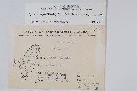 石葦藏品圖，第2張