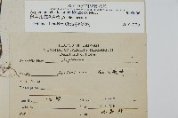 薄葉孔雀鐵角蕨、邊孢鐵角蕨藏品圖，第2張