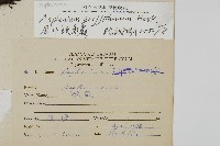 叢葉鐵角蕨藏品圖，第1張