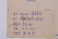 假蹄蓋蕨、東洋蹄蓋蕨藏品圖，第2張