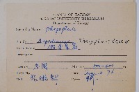 登錄號:P008070藏品圖，第2張