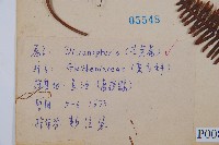 登錄號:P008073藏品圖，第2張