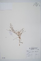 登錄號:P008083藏品圖，第1張