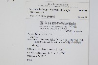 瓦葦藏品圖，第2張