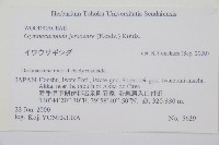 羽節蕨藏品圖，第2張