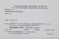 登錄號:P008087藏品圖，第2張