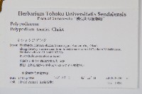 登錄號:P008090藏品圖，第2張