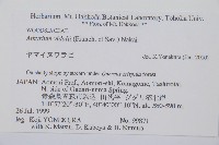 山蹄蓋蕨藏品圖，第2張