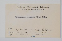 三羽新月蕨藏品圖，第2張