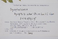 登錄號:P008099藏品圖，第2張