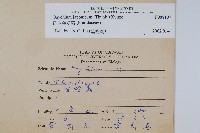 日本金粉蕨藏品圖，第2張