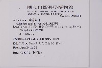 鐵線蕨藏品圖，第2張