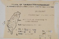 登錄號:P008116藏品圖，第2張