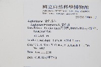 鐵角蕨藏品圖，第2張