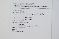 阿里山蹄蓋蕨藏品圖，第2張