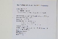 波氏星蕨藏品圖，第2張