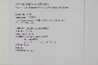 屏東擬肋毛蕨藏品圖，第2張