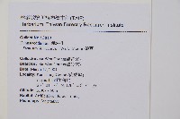 碗蕨藏品圖，第2張