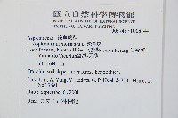 鐵角蕨藏品圖，第2張