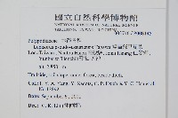 擬烏蘇里瓦葦藏品圖，第2張